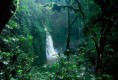 /album/conoce-nuestro-planeta/selva-amazonica1-jpg/